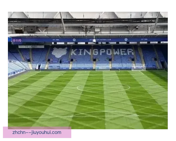 2026世界杯将采用高科技传感器实时监控球场草坪湿度提升比赛体验